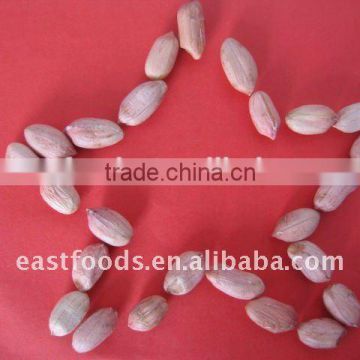 long type peanut kernel from China