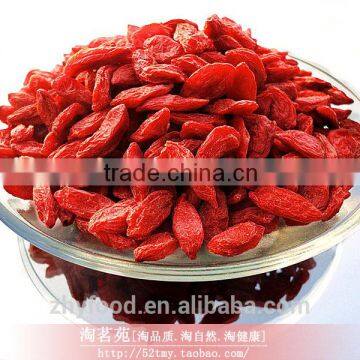 Organic Goji Berry photo-2