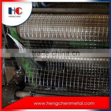 Competitive price hot dipped 2x4 welded wire mesh fence