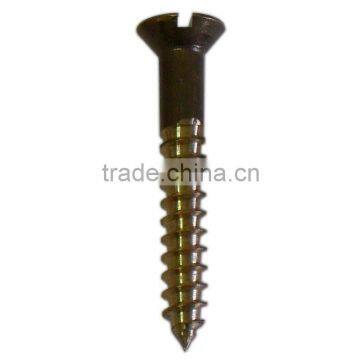 Slotted Flat Head Wook Screws