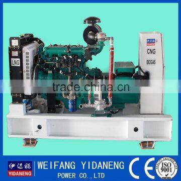 Yidaneng Power Yangdong 18kw biogas generator genset