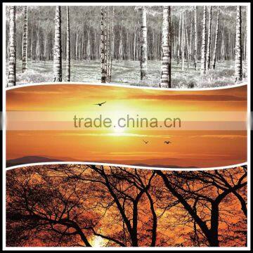 Ceramic Fritted Glass Can be Tempered Laminated Decorative Glass photo-3