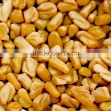 Indian Fenugreek seeds