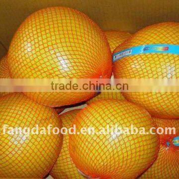 Supply Chinese fresh honey sweet pomelo