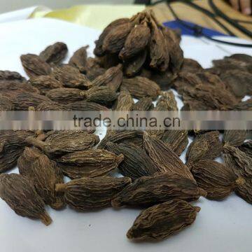 Black Cardamom Wholesale