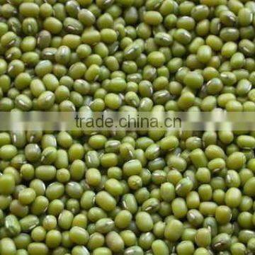 GREEN MUNG BEAN(+84948425455 VIBER, WHATSAPP/SKYPE: VISIMEX05)