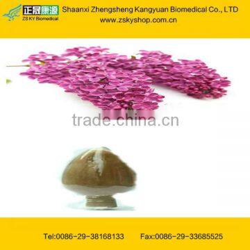 Natural Flos Caryophyllata Extract from GMP Factory