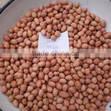 peanuts 1kg price