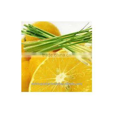 Lemon Grass Oil photo-2