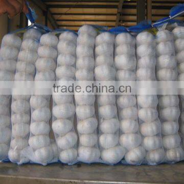 High Quality Garlic with Storage Durability