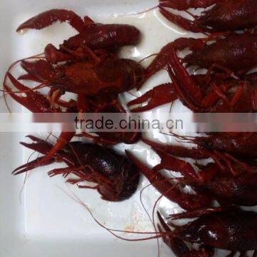 2015 New Seasoned IQF Whole Round Crawfish