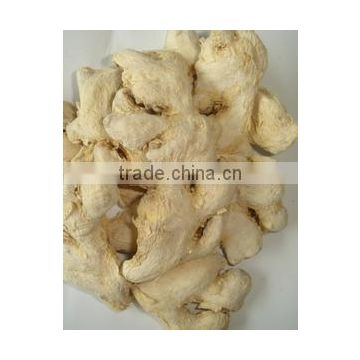 Factory Price Gan Jiang Extract Powder