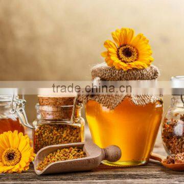 2016 Fresh Raw Sunflower Honey photo-5