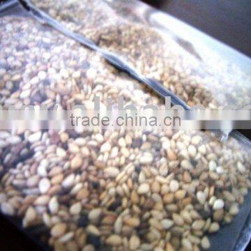 Natural Whitish Sesame Seeds