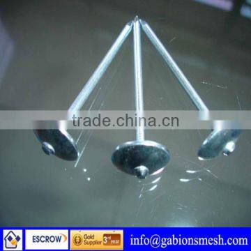 ISO9001:2008 high quality,low price,aluminium roofing nails,professional factory