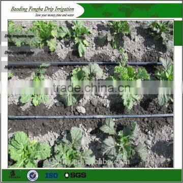 factory driect drip tape irrigation supplier