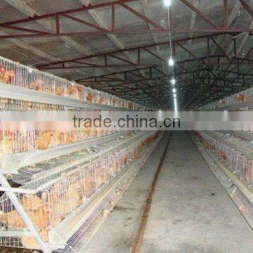 Meat Chicken Cage (Direct Factory) photo-6