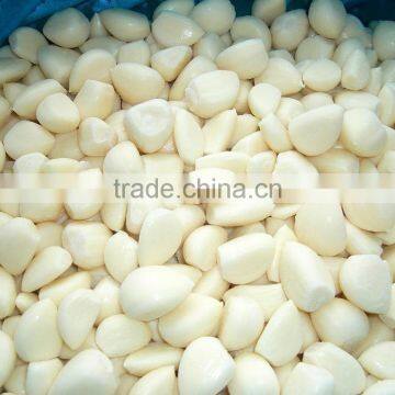 Mashed Garlic Machine/Garlic Grinding Machine photo-2