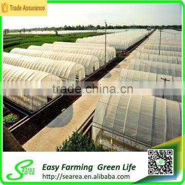 Hot Sale Searea 200 Micron Single-span Greenhouse Project photo-4
