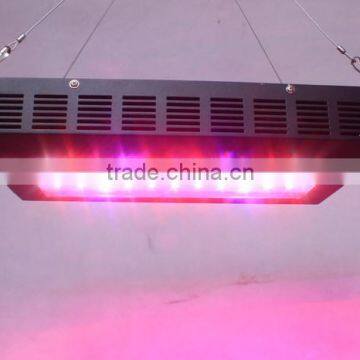 Shenzhen Factory Best Price 150W(55x3W) EPISTAR UFO LED Grow Light For Lettuce Plant Good Quality photo-4