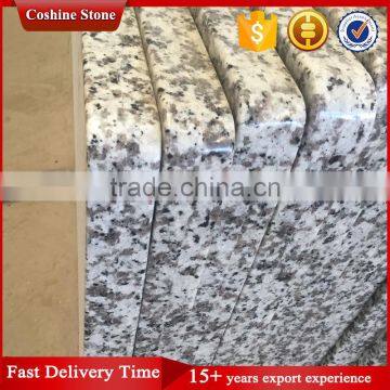 China Bianco Sardo Granite Countertop With Lower Price photo-2