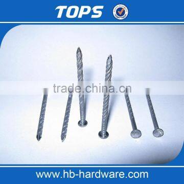 Polished Common Round Wire Nails photo-4