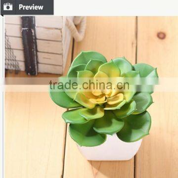 Cheap Artificial Succulents Plants Plastic Plants photo-4