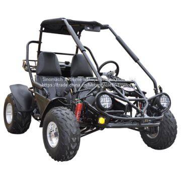 Adults Racing Monster 2 Seat Rental 150cc Buggy photo-2