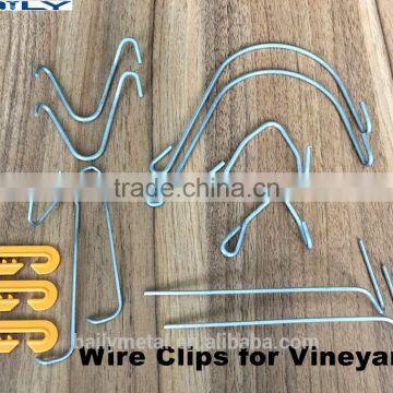Factory custom various sizes metal galvanized wire clip, Vineyard Trellis Post Clip for vineyard