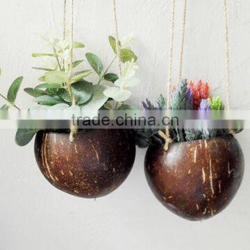 Ex-fty Most Affordable Coconut Box/storage Container for Green Plant photo-2