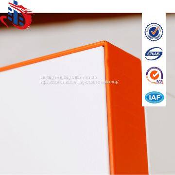 New Model Display Cupboard 2 Door Metal Filing Cabinets photo-4