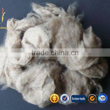 Grey Mongolian Dehaired Cashmere Fiber