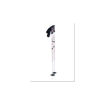 ski pole