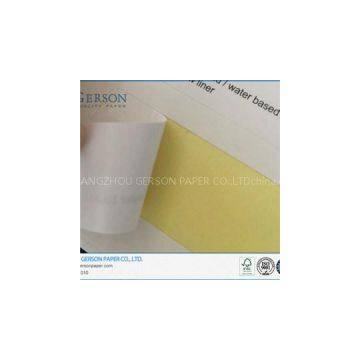 Semi-Glossy Water Based Adhesive Paper