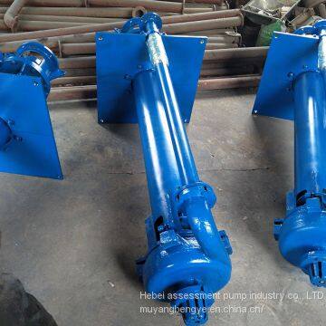 The Assessment of Direct Selling sv - 150 SP (R) Vertical _ _ Under Liquid Centrifugal Slurry Pump photo-4