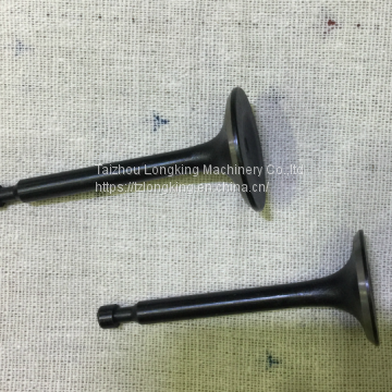 Agriculture machine parts 168F intake Valve and exhaust Valve for gx160/engine valve