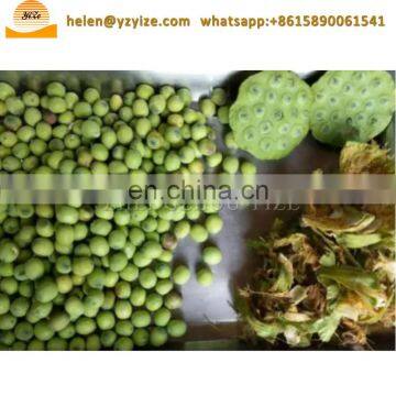 Automatic Lotus Seed Screening Grading Processing Line Lotus Seed Nut Separator Peeler Machine photo-7