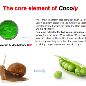 Cocoly Granular Water Soluble Fertilizer+TE photo-2