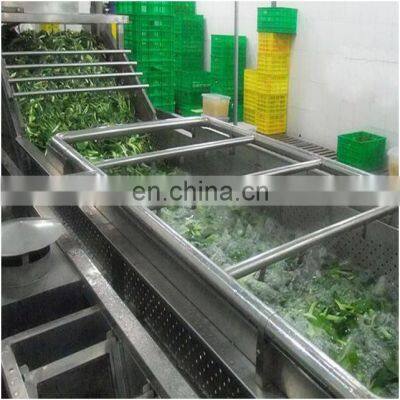 Fully Automatic Vegetable and Fruit Vortex Washing Machine Vegetable Processing Line Machine photo-4