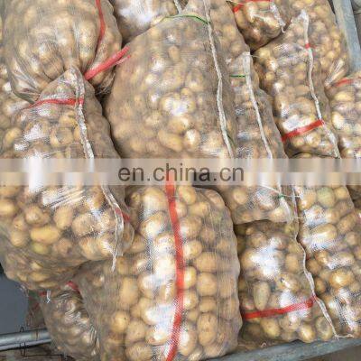 Hot Sale Many Sizes Fresh Potato For Sale photo-4