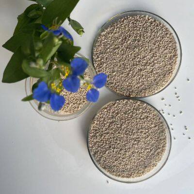 Rumen Protected Lysine 50% Swine,Poultry,Ruminant, Fattening Cattle,Sheep and Goat,Dairy Cow