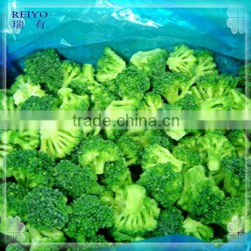 Best food Best vegetables IQF Broccoli