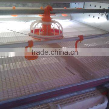 Broiler Farm for Broiler Feed Rearing photo-5