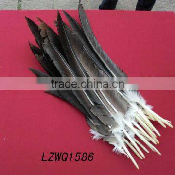 Pheasant feather Wing Quill feather fan LZWQ1586