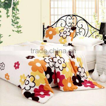 4pcs cute Coral fleece bedsheet set