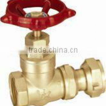 PN16 Brass Butt Weld Gate Valve