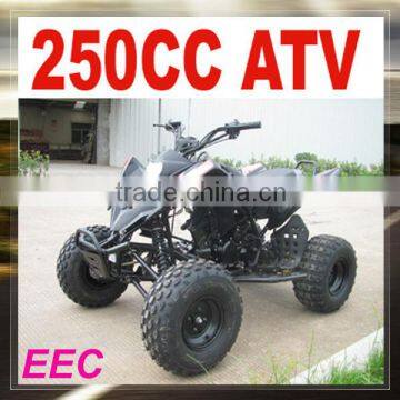 High quality MC-381 atv 250cc jinling atv