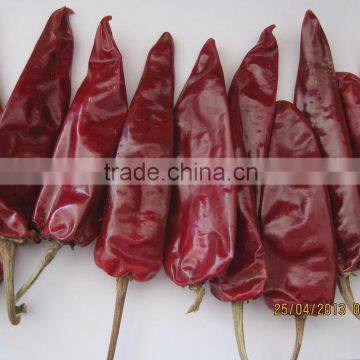 Dried chilli Jinta chilli Puya chilli