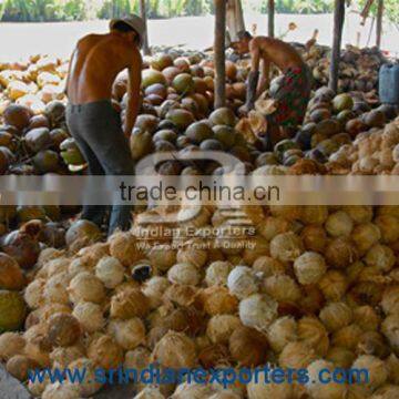 Matured Coconut Variety FRESH