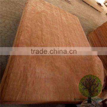 gurjan veneer burckella veneer